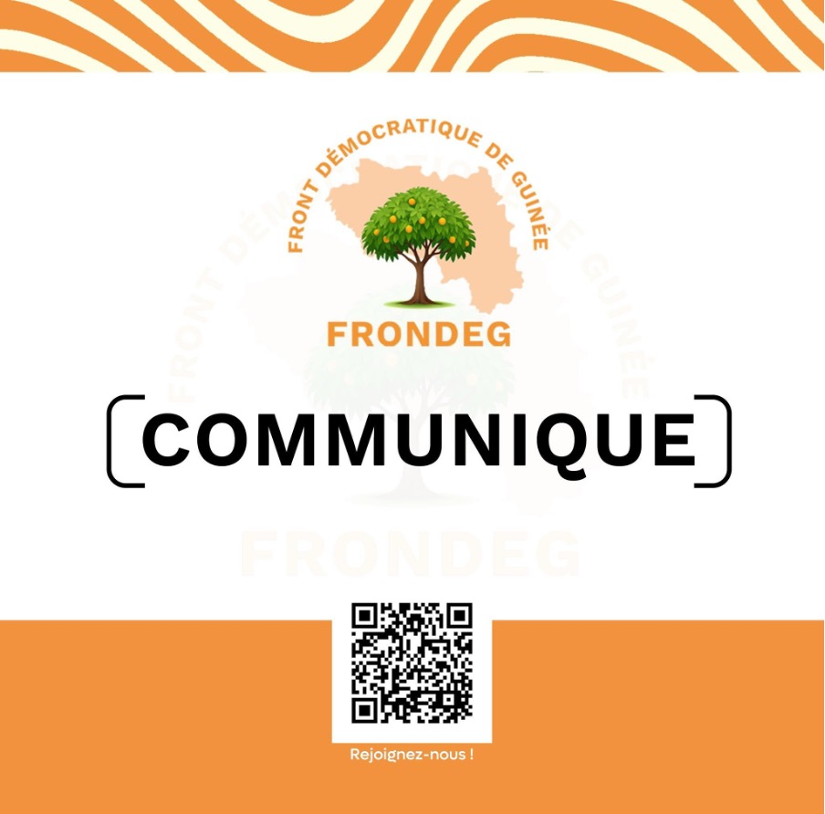 Présidentielle du 28 décembre : Abdoulaye Yéro Baldé reçoit une subvention de 2 milliards de GNF